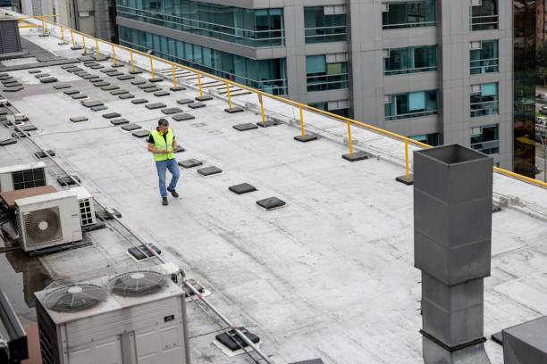 Best Cold Roofs  in Essexville, MI
